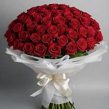 Букет 101 Красная роза Блэк Мэджик в Холм-Жирковский
