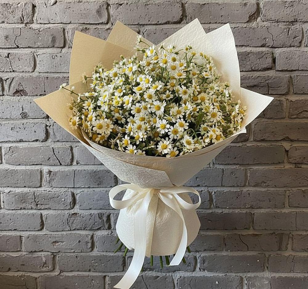 Букет цветов из: Ромашки в Холм-Жирковский