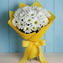 Букет цветов из:  Хризантемы в Холм-Жирковский