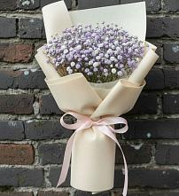 Букет цветов из:  Гипсофила в Холм-Жирковский