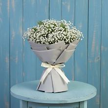 Букет цветов из:  Гипсофила в Холм-Жирковский