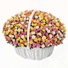 Премиум букет из: Розы в Холм-Жирковский