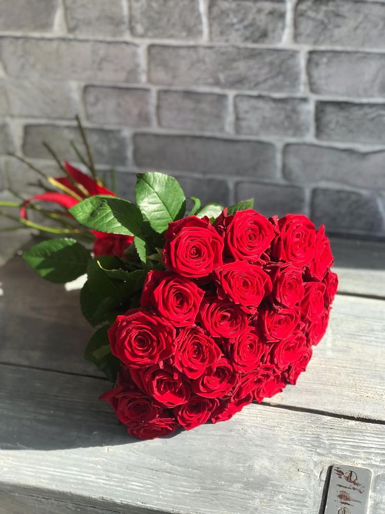 Букет Красные розы Фридом в Холм-Жирковский