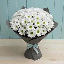 Букет цветов из:  Хризантемы #REPLACE_PRED# Холм-Жирковский