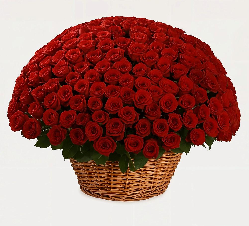 Премиум букет из: Розы в Холм-Жирковский