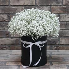 Цветочная композиция из Гипсофила в шляпной коробке #REPLACE_PRED# Холм-Жирковский