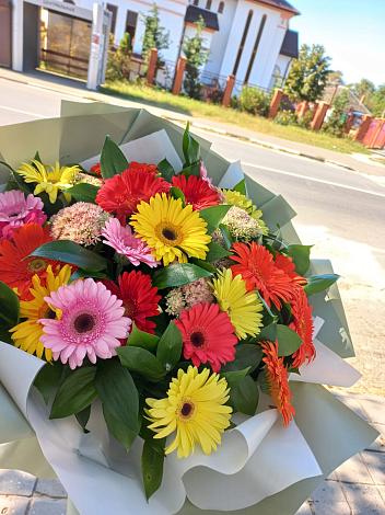 Букет цветов из: Герберы в Холм-Жирковский