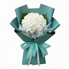 Букет цветов из:  Гортензия #REPLACE_PRED# Холм-Жирковский